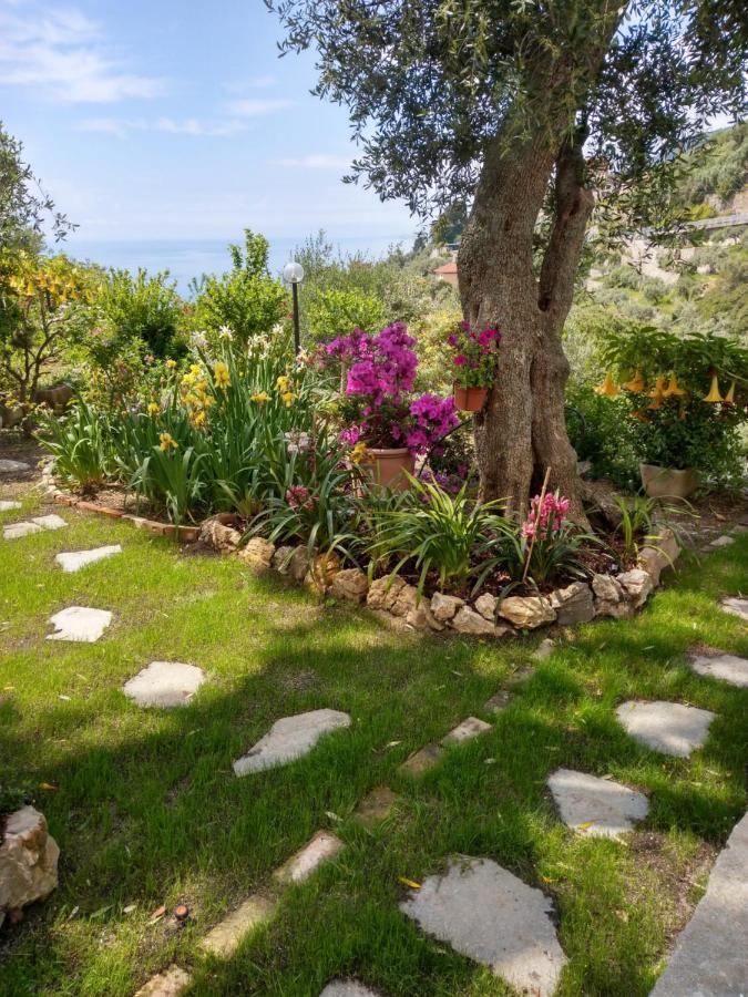 Villino Brunetto Azienda Agrituristica 卡莫利 外观 照片