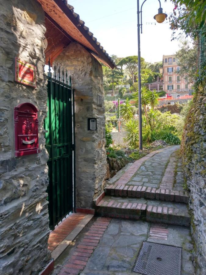 Villino Brunetto Azienda Agrituristica 卡莫利 外观 照片