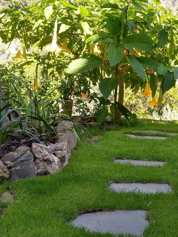 Villino Brunetto Azienda Agrituristica 卡莫利 外观 照片