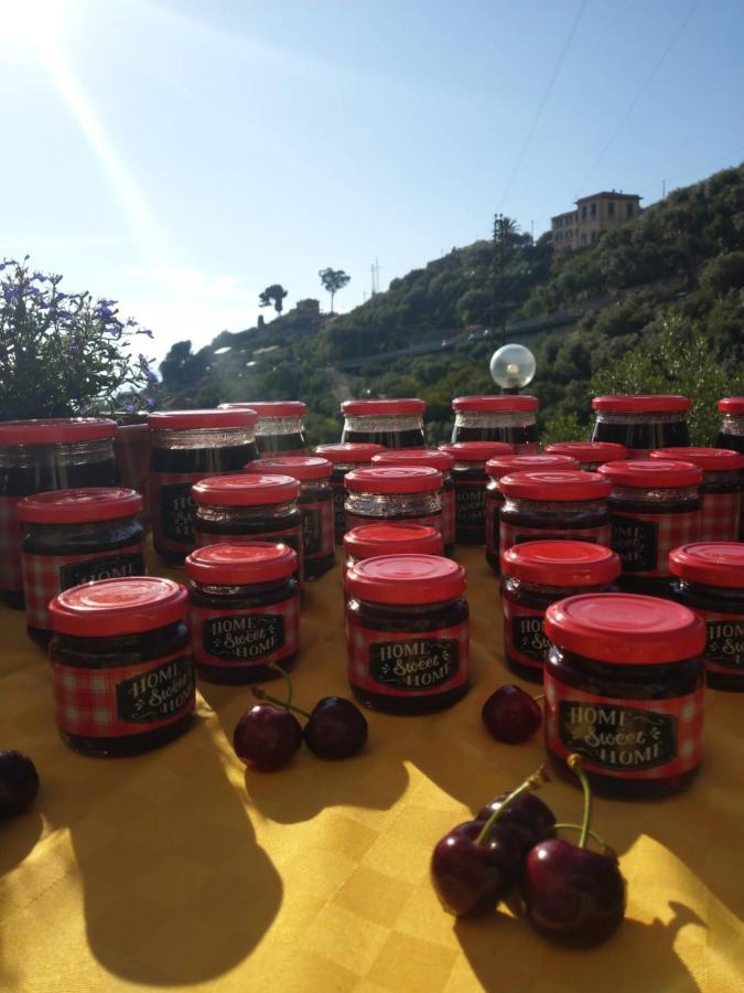Villino Brunetto Azienda Agrituristica 卡莫利 外观 照片
