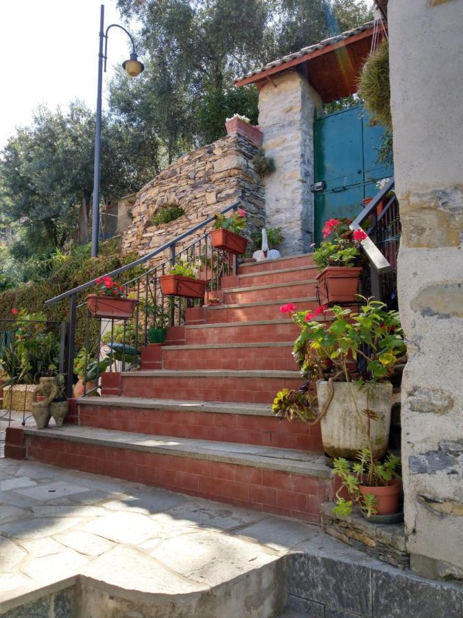 Villino Brunetto Azienda Agrituristica 卡莫利 外观 照片