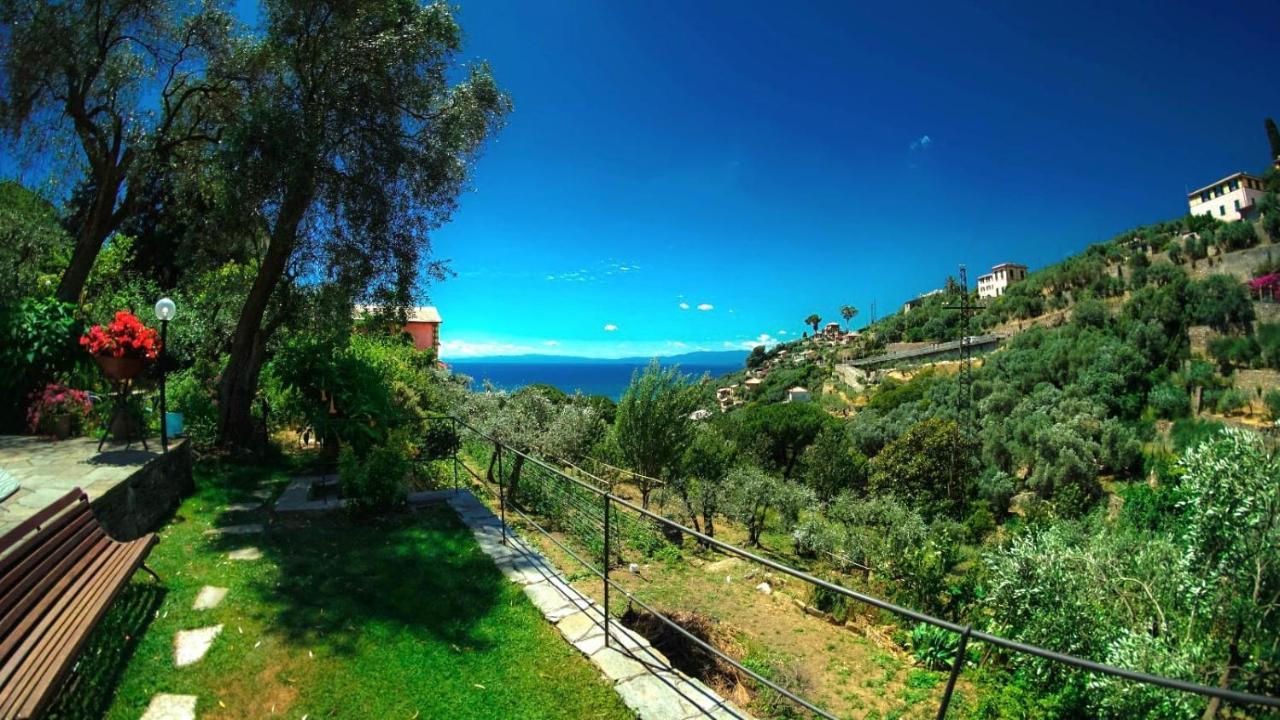 Villino Brunetto Azienda Agrituristica 卡莫利 外观 照片